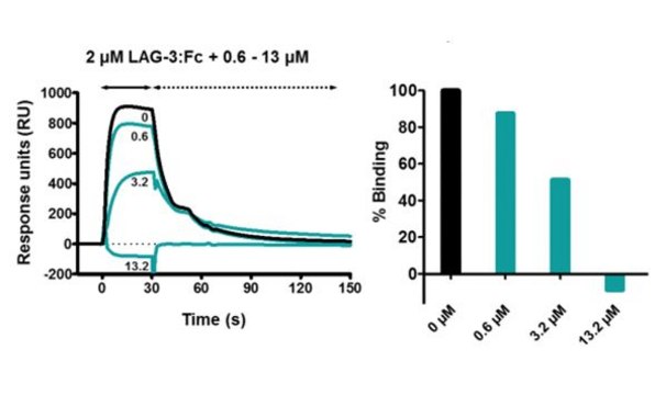 Anti-LAG-3 Antibody, clone 1B5 clone 1B5