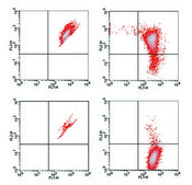 Mitochondrial Membrane Potential Kit sufficient for 100&#160;fluorometric&nbsp;tests (flow cytometry)