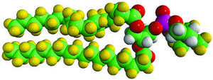 18:0 PC-d79 Avanti Research&#8482; - A Croda Brand, powder
