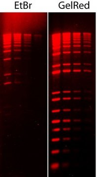 GelRed&#174; Nucleic Acid Stain 10000X DMSO GelRed is a fluorescent nucleic acid stain designed to replace the highly toxic ethidium bromide (EtBr) for staining dsDNA, ssDNA or RNA in agarose gels or polyacrylamide gels.