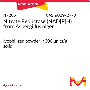 Nitrate Reductase (NAD[P]H) from Aspergillus niger lyophilized powder, &#8805;300&#160;units/g solid