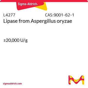 Lipase from Aspergillus oryzae &#8805;20,000&#160;U/g