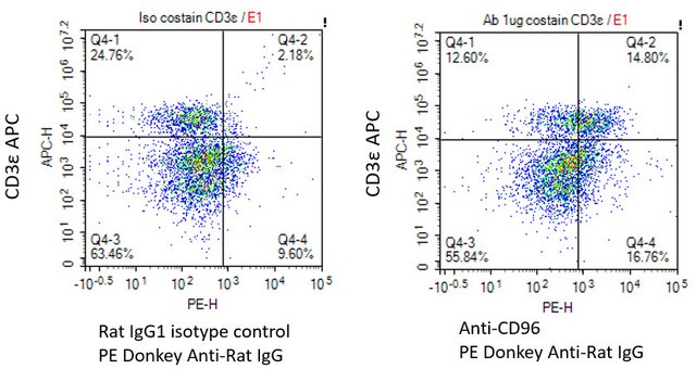 Anti-CD96 Antibody, clone 3.3