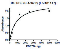 PDE7B active rat recombinant, expressed in baculovirus infected Sf9 cells, &#8805;30% (SDS-PAGE)