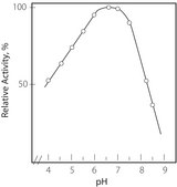 Cholesterol Oxidase from Streptomyces sp. lyophilized powder, &#8805;20&#160;units/mg protein