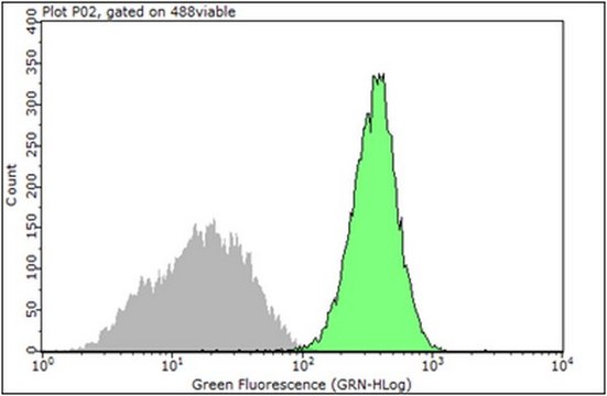 Anti-Integrin &#946;1 Antibody, clone 12G10 clone 12G10, from mouse