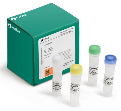 Genomiphi&#8482; V2 DNA Amplification Kit Cytiva 25-6600-31, sufficient for 100&#160;reactions