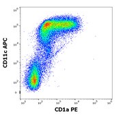 Monoclonal Anti-CD1a PE produced in mouse