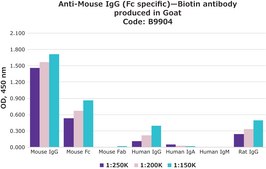 Anti-Mouse IgG (Fc specific)–Biotin antibody produced in goat affinity isolated antibody, buffered aqueous solution