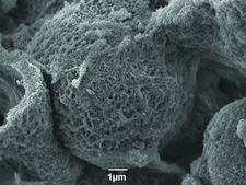 Carbon, mesoporous hydrophilic pore surface