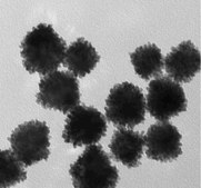 Platinum nanospheres citrate functionalized, 5&#160;nm diameter, 0.05&#160;mg/mL (2 mM aqueous sodium citrate buffer)