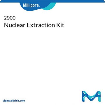 Nuclear Extraction Kit