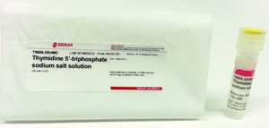 Thymidine 5&#8242;-triphosphate sodium salt solution 100&#160;mM in H2O