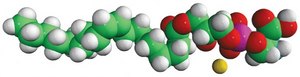 18:1 Lyso PS 1-oleoyl-2-hydroxy-sn-glycero-3-phospho-L-serine (sodium salt), chloroform