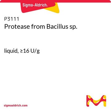 Protease from Bacillus sp. liquid, &#8805;16&#160;U/g