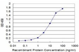 Monoclonal Anti-LIPF, (C-terminal) antibody produced in mouse clone 3B3, purified immunoglobulin, buffered aqueous solution