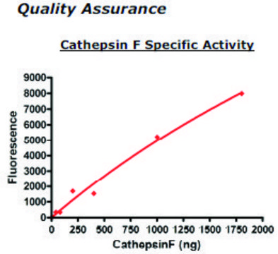 Cathepsin F Active human recombinant, expressed in FreeStyle&#8482; 293-F cells, &#8805;90% (SDS-PAGE)