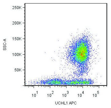 Monoclonal Anti-CD45R0-APC antibody produced in mouse clone UCHL1