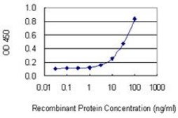 Monoclonal Anti-LPIN1, (C-terminal) antibody produced in mouse clone 3D9, purified immunoglobulin, buffered aqueous solution