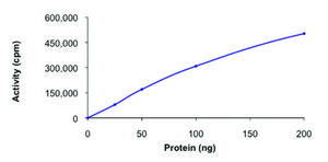 YES1, active, GST tagged human PRECISIO&#174; Kinase, recombinant, expressed in baculovirus infected Sf9 cells, &#8805;70% (SDS-PAGE), buffered aqueous glycerol solution