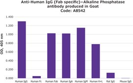 Anti-Human IgG (Fab specific)&#8722;Alkaline Phosphatase antibody produced in goat affinity isolated antibody, buffered aqueous solution