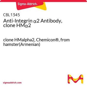 Anti-Integrin &#945;2 Antibody, clone HM&#945;2 clone HMalpha2, Chemicon&#174;, from hamster(Armenian)