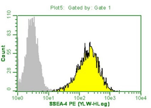 Milli-Mark Anti-SSEA-4-PE Antibody, clone MC-813-70 clone MC-813-70, Milli-Mark&#174;, from mouse