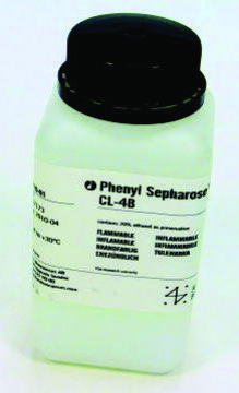 Phenyl-Sepharose&#8482; CL-4B Cytiva 17-0810-01, pack of 200&#160;mL