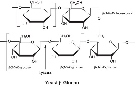 Lyticase from Arthrobacter luteus partially purified powder, &#8805;1,500&#160;units/mg protein