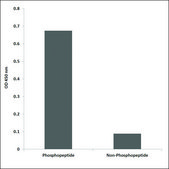 Anti-phospho-PTP1B (pSer50) antibody produced in rabbit affinity isolated antibody
