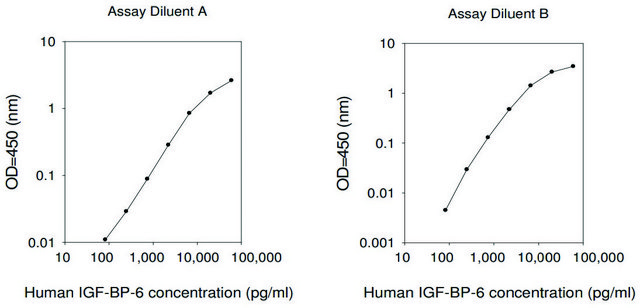 Human IGFBP-6 ELISA Kit for serum, plasma, cell culture supernatant and urine