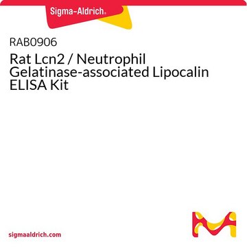 Rat Lcn2 / Neutrophil Gelatinase-associated Lipocalin ELISA Kit