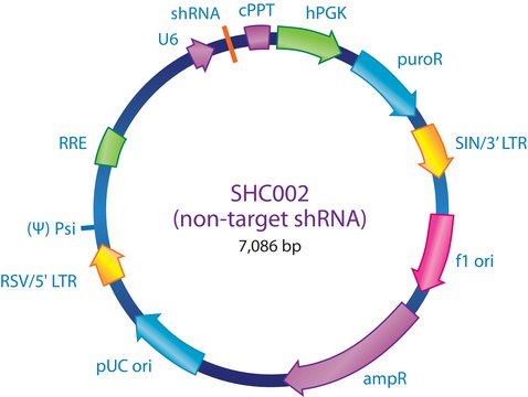 MISSION&#174; pLKO.1-puro Non-Mammalian shRNA Control Transduction Particles, High Titer Targets no known mammalian genes