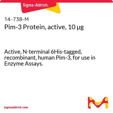 Pim-3 Protein, active, 10 &#181;g Active, N-terminal 6His-tagged, recombinant, human Pim-3, for use in Enzyme Assays.