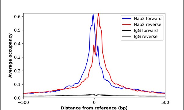 Anti-NAB2 antibody produced in rabbit Prestige Antibodies&#174; Powered by Atlas Antibodies, affinity isolated antibody, buffered aqueous glycerol solution
