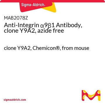 Anti-Integrin &#945;9&#946;1 Antibody, clone Y9A2, azide free clone Y9A2, Chemicon&#174;, from mouse