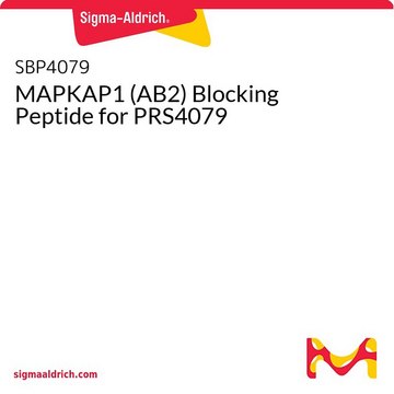 MAPKAP1 (AB2) Blocking Peptide for PRS4079
