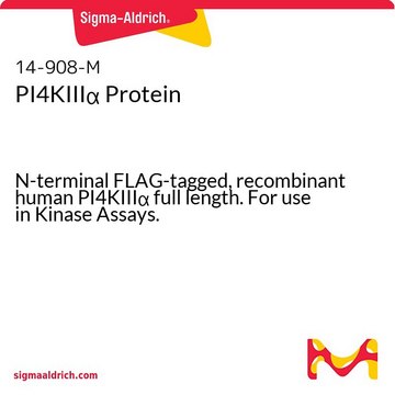 PI4KIII&#945; Protein N-terminal FLAG-tagged, recombinant human PI4KIII&#945; full length. For use in Kinase Assays.