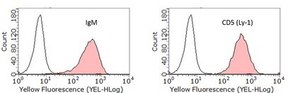 CH27 Mouse B Cell Lymphoma Cell Line CH27 mouse B cell lymphoma celll line is a useful model for the study of B-cell biology and tumor immunology.