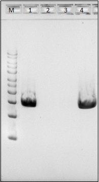 MetaPolyzyme, DNA free Suitable for Microbiome research, lyophilized powder