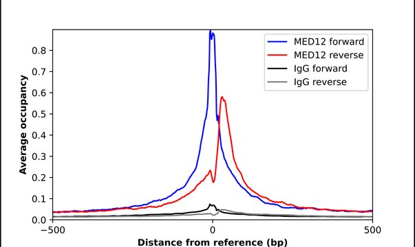 Anti-MED12 antibody produced in rabbit Ab2, Prestige Antibodies® Powered by Atlas Antibodies, affinity isolated antibody, buffered aqueous glycerol solution