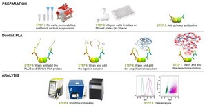 Duolink&#174; flowPLA Detection Kit - Violet Duolink&#174; PLA kit for Flow Cytometry with Violet Detection
