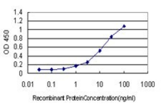 Monoclonal Anti-LGMN antibody produced in mouse clone M1, purified immunoglobulin, buffered aqueous solution