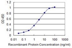 Monoclonal Anti-CALM3 antibody produced in mouse clone 1E2, purified immunoglobulin, buffered aqueous solution