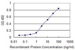 Monoclonal Anti-MAPK13 antibody produced in mouse clone 3D8, purified immunoglobulin, buffered aqueous solution