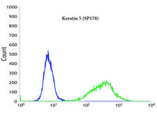 Anti-Keratin 5 antibody, Rabbit monoclonal clone SP178, recombinant, expressed in proprietary host, affinity isolated antibody