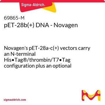 pET-28b(+) DNA - Novagen Novagen&#8242;s pET-28a-c(+) vectors carry an N-terminal His&#8226;Tag&#174;/thrombin/T7&#8226;Tag configuration plus an optional C-terminal His&#8226;Tag sequence.