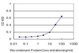 Monoclonal Anti-ALDH3A1 antibody produced in mouse clone 2G4, purified immunoglobulin, buffered aqueous solution