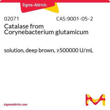 Catalase from Corynebacterium glutamicum solution, deep brown, &#8805;500000&#160;U/mL