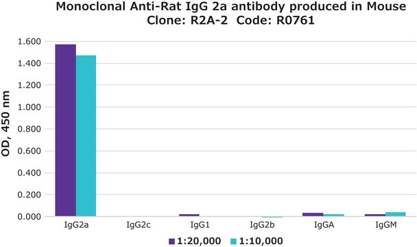 Monoclonal Anti-Rat IgG2a antibody produced in mouse clone R2A-2, ascites fluid